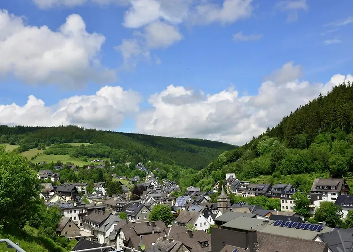 Holiday Home In The Centre Of Willingen With View