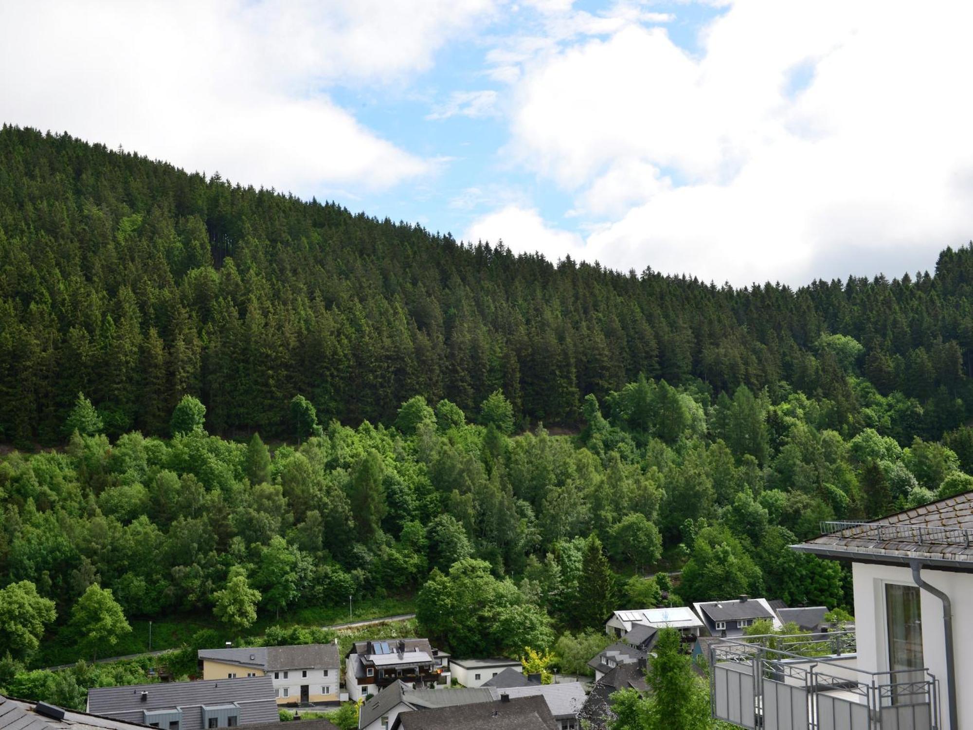 In The Centre Of Willingen With View
